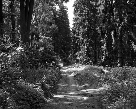 фото: Івницький парк